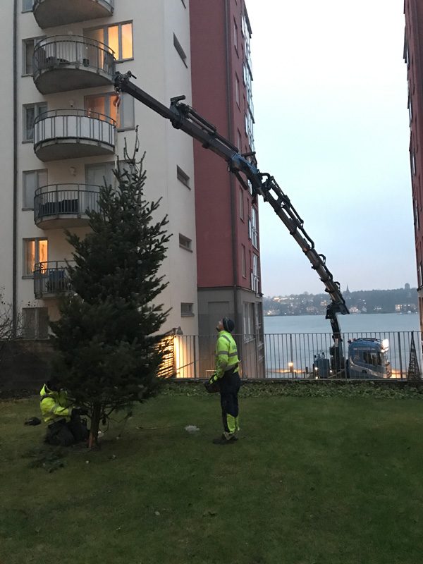 en.julgran.com