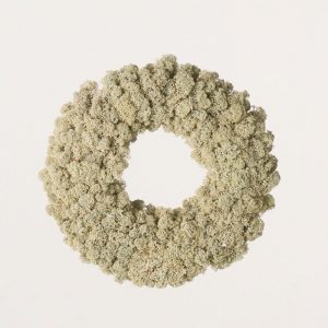 Sphagnum Door Wreaths