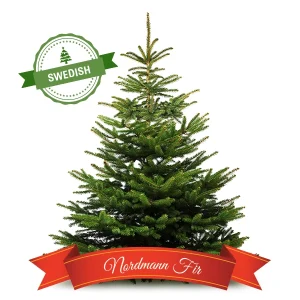 Christmas tree home delivery (Stockholm)